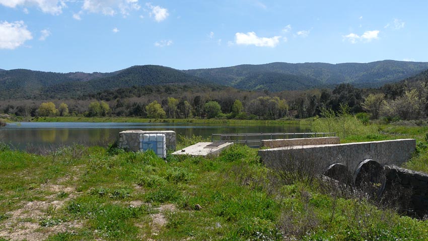 Salamandrine di Maremma